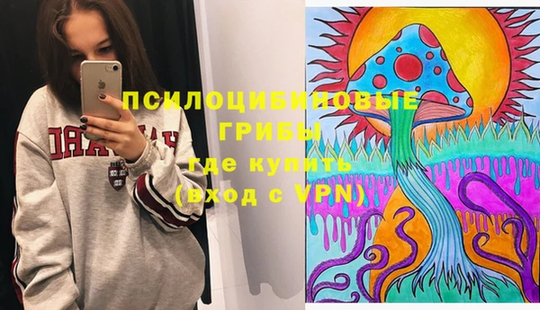 соль курить ск Каменногорск