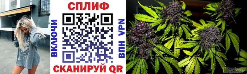 Купить закладки  Ишим  Канабис Bruce Banner 